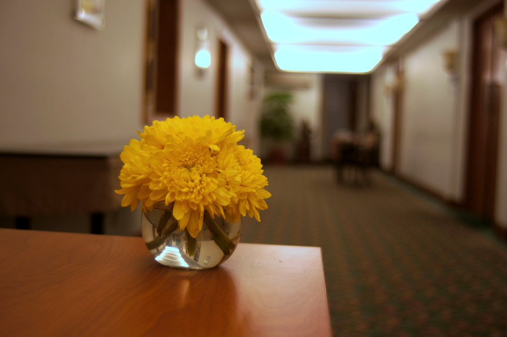 saung-lensa-manual---part-2