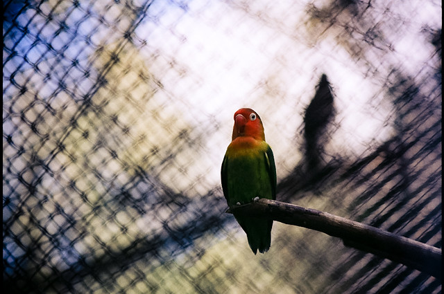 nongkrong-bareng-analog---film-camera---part-4