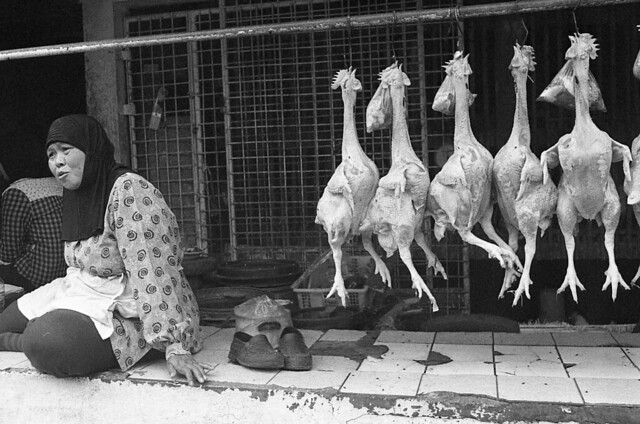 nongkrong-bareng-analog---film-camera---part-4