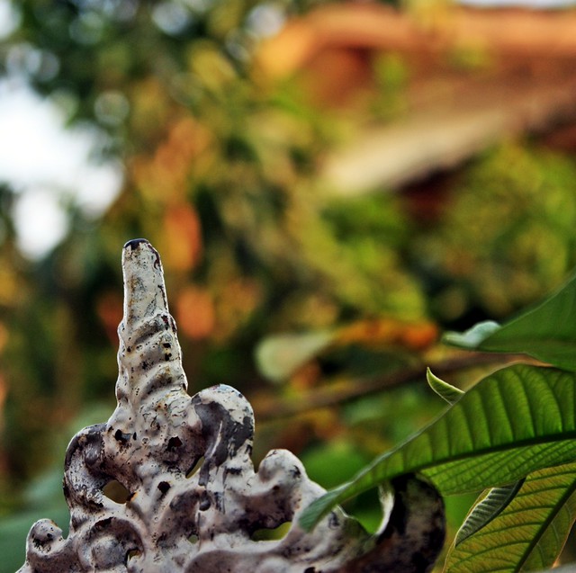 efek-blur-bokeh-pake-lensa-kit-standar-18-55mm-is