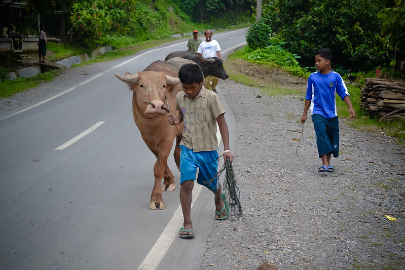 discussion-photograpy-in-medan