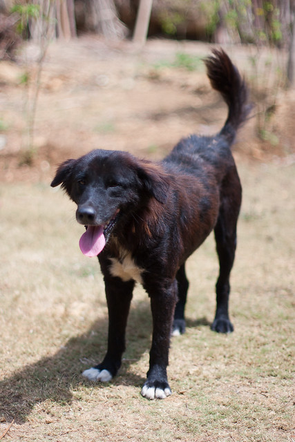 saung-lensa-manual---part-2