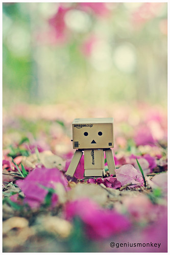 gallery-me-just-take-and-retouch