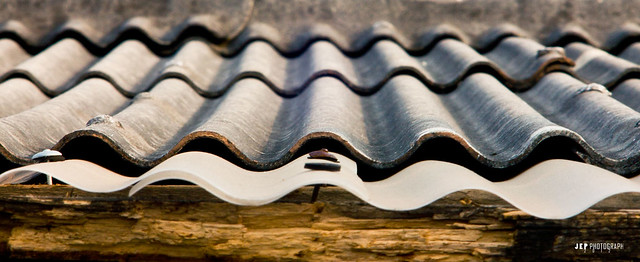 nongkrong-bareng-yang-masih-amatiran-dan-newbie---part-4