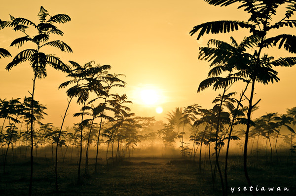 alun-alunnya-nikonian---part-9