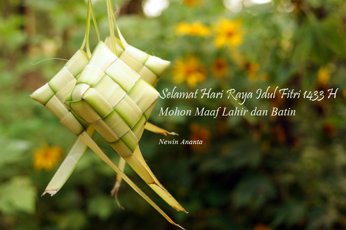 saung-lensa-manual---part-2