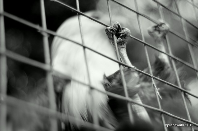 diskusi-thread-utk-pertanyaan-quotkamera-x-vs-kamera-yquot---part-3