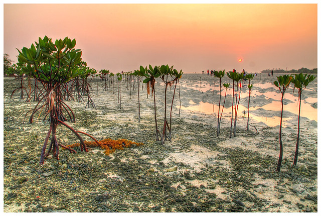 night-rider-photography-community