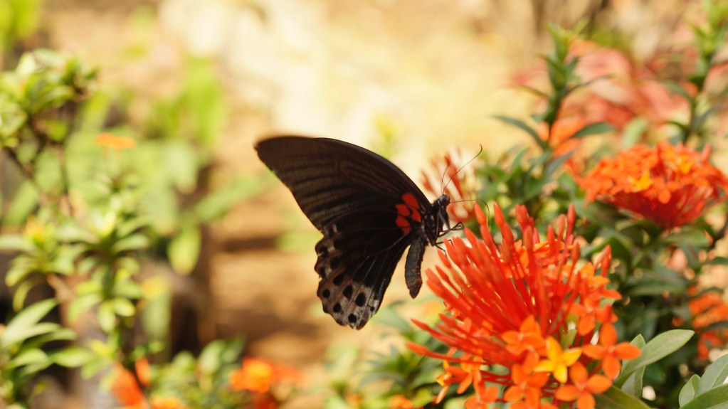 nongkrong-bareng-kritik-jujur-dan-brutal