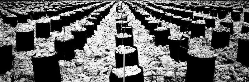 saung-lensa-manual---part-2