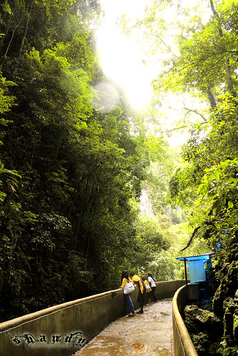 nongkrong-bareng-yang-masih-amatiran-dan-newbie---part-4