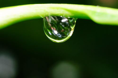 pentax-village---part-3--the-legend-still-continues