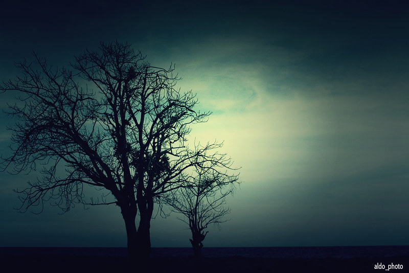 nongkrong-bareng-yang-masih-amatiran-dan-newbie---part-4