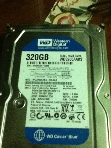 JUAL HDD WDC 320GB
