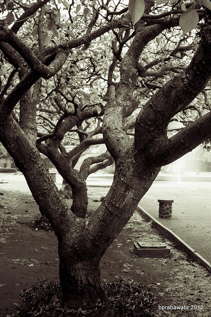 nongkrong-bareng-yang-masih-amatiran-dan-newbie---part-4