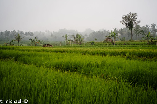 Perkenalan Hasil Jepretan Kamera Fujifilm X-E1