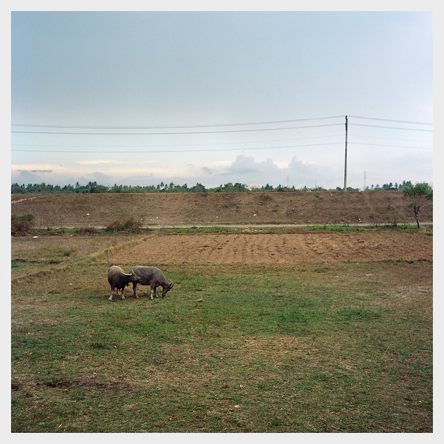 nongkrong-bareng-analog---film-camera---part-4