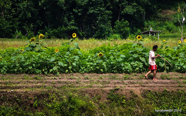 nongkrong-bareng-kritik-jujur-dan-brutal