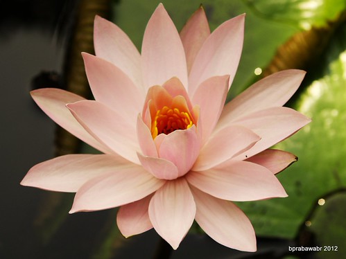 nongkrong-bareng-yang-masih-amatiran-dan-newbie---part-4