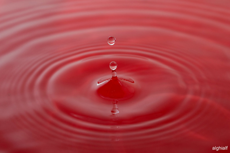 nongkrong-bareng-kritik-jujur-dan-brutal