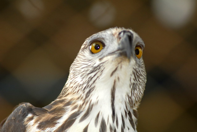 discussion-photograpy-in-medan
