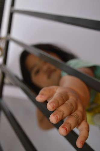 regional-surabaya-forest-v20--sekitarnya---part-4