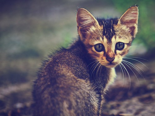 nongkrong-bareng-yang-masih-amatiran-dan-newbie---part-4