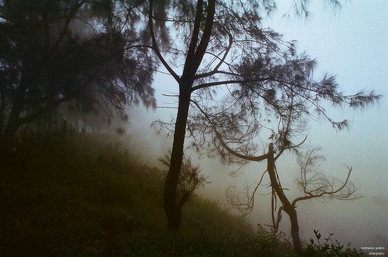 nongkrong-bareng-analog---film-camera---part-4