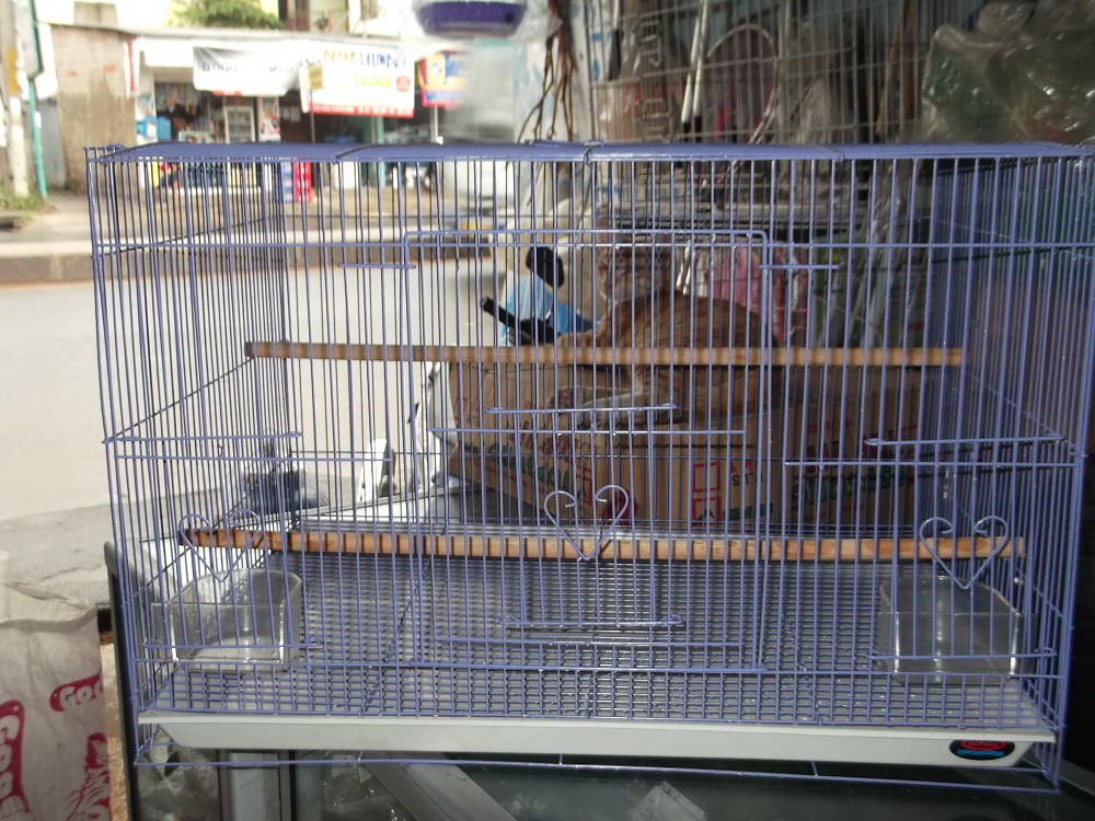 Jual Kandang Umbaran, Parkit, Kenari, Love Bird, Dll (Tambun Bekasi)