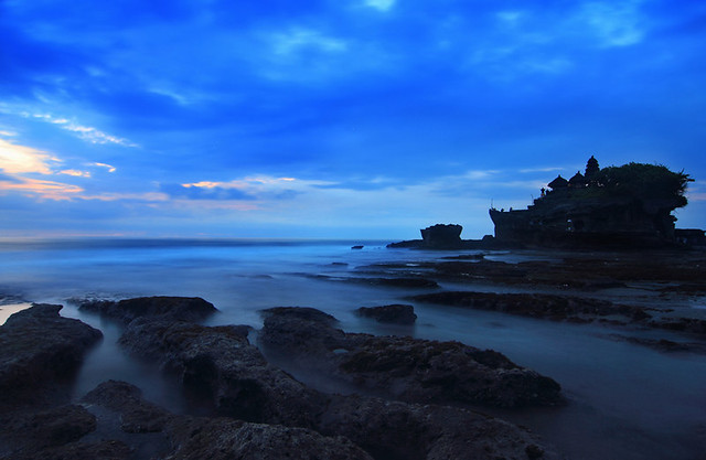 regional-surabaya-forest-v20--sekitarnya---part-4