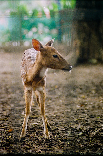 nongkrong-bareng-analog---film-camera---part-4