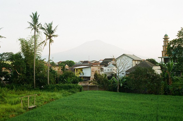 nongkrong-bareng-analog---film-camera---part-4