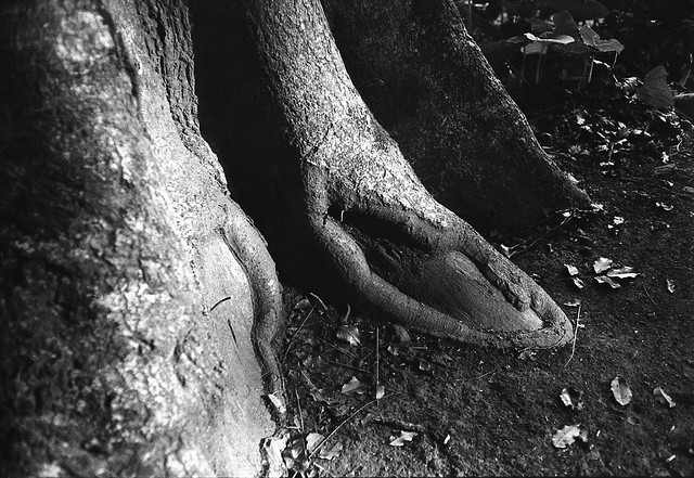 nongkrong-bareng-analog---film-camera---part-4