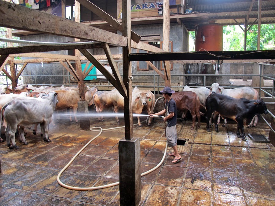 LIBURAN SERU DI KAMPUNG 99 PEPOHONAN, DEPOK