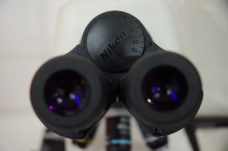 alun-alun-nikonian---part-13