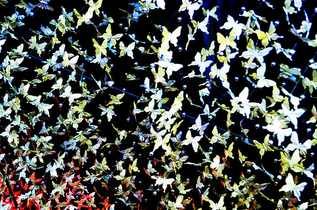 alun-alun-nikonian---part-13