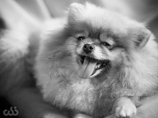 rumah-olympus---part-3