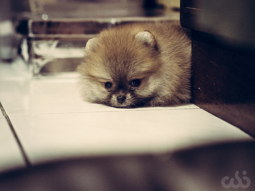 rumah-olympus---part-3