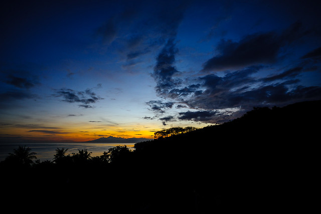 new-pendopo-sony-alpha