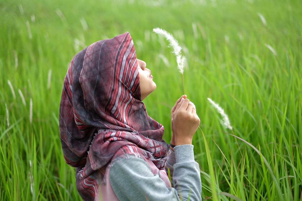 kavling-fujifilm---part-3