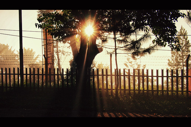 post-image