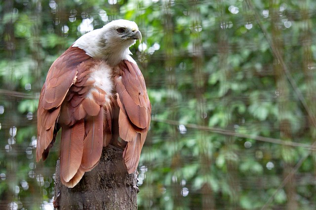 nongkrong-bareng-yang-masih-amatiran-dan-newbie---part-5