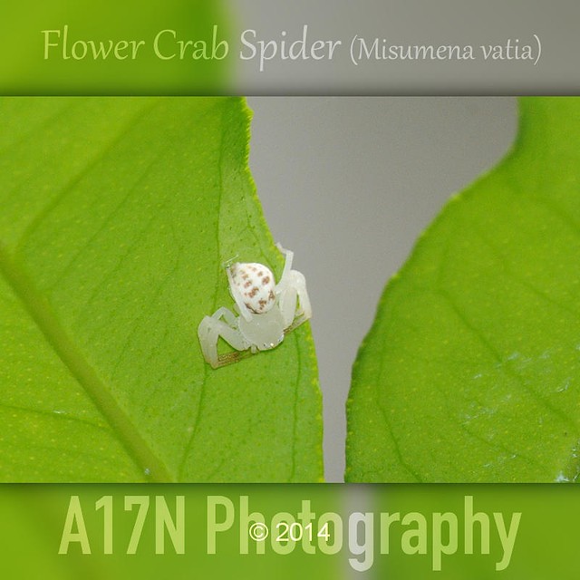 post-image