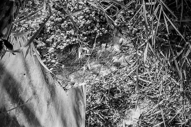 diskusi-kamar-gelap-film-bw---part-2