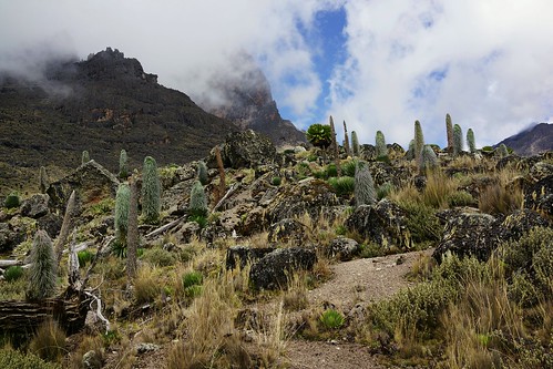 Mt. Kilimanjaro &amp; Mt. Kenya (2014)