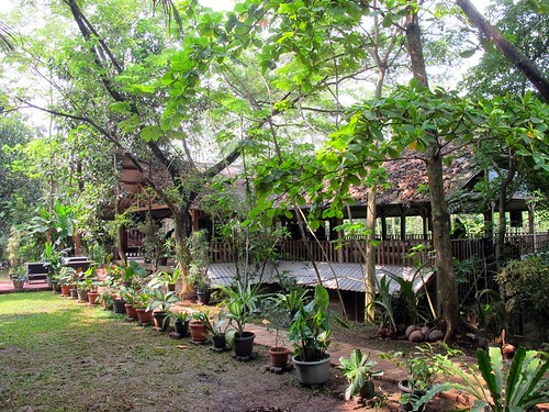 LIBURAN SERU DI KAMPUNG 99 PEPOHONAN, DEPOK