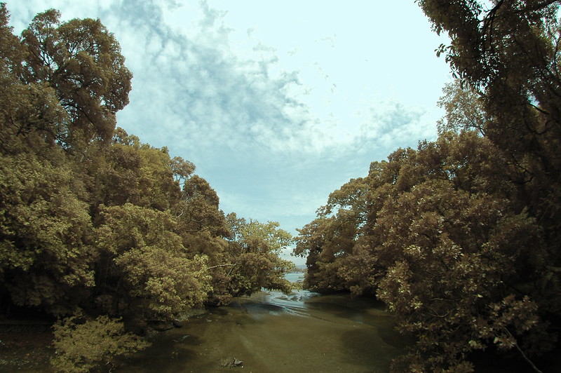 post-image