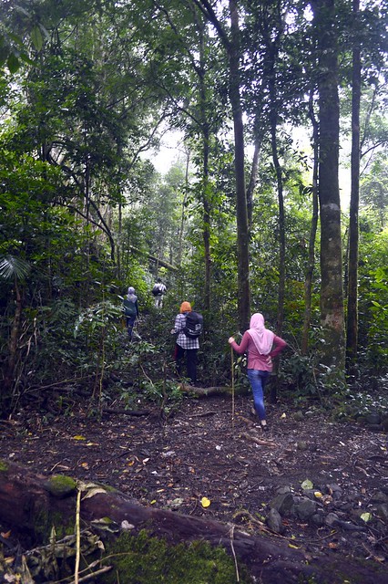 &#91;CATPER&#93; Treking Ringan ke Air Terjun SEKEPER Lombok Utara