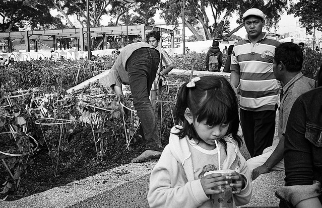 nongkrong-bareng-analog---film-camera---part-4