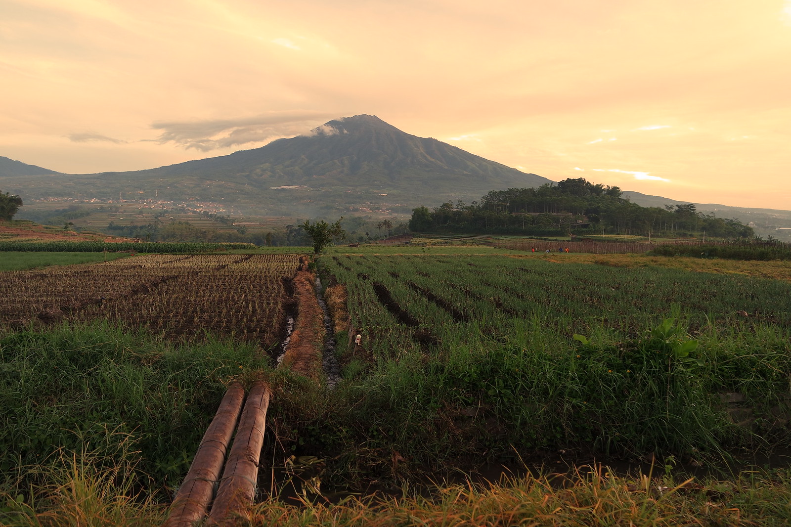 Surga di Lereng Gunung Arjuna, Pesona Keindahan Desa Torongrejo